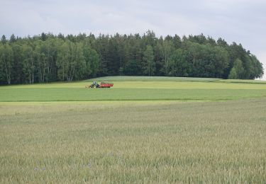 Tour Zu Fuß Marktredwitz - DE-2 - Photo