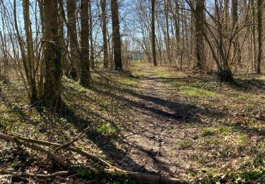 Trail Walking Hamoir - Le Guêt - rectangle vert  - Photo