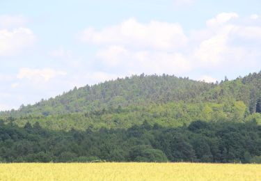 Tocht Te voet Linsengericht - Linsengerichter Rundwanderweg Nr.4 - Photo