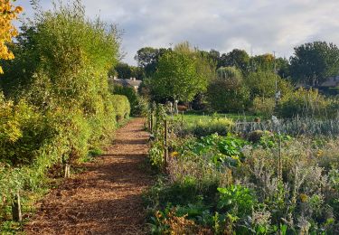 Trail Walking Ottignies-Louvain-la-Neuve - LLN Undercover - Photo