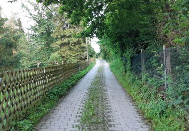 Trail On foot  - Rundweg um Erfenschlag - Photo