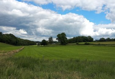 Tocht Stappen Mettet - ELVOBAL-FURNAUX-Rita-10kms- Juin 2020 - Photo