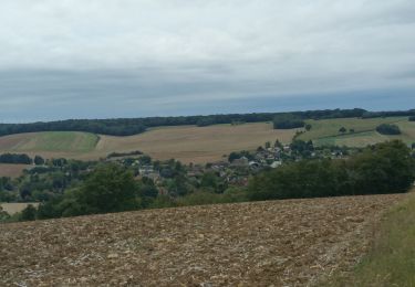 Trail Walking Vauchassis - Bois de maître Jacques - Photo