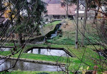 Tocht Te voet Gomadingen - Münsingen - Riedheim - Photo