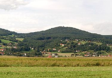 Excursión A pie Hartberg Umgebung - Drehscheibenweg (W2) - Photo