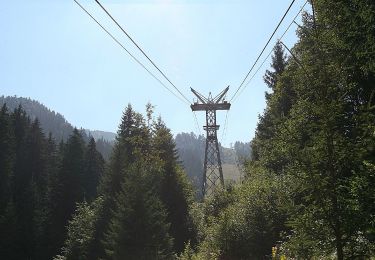 Randonnée A pied Inconnu - Cristian - Drumul lui Lexen - Poiana Brașov - Photo