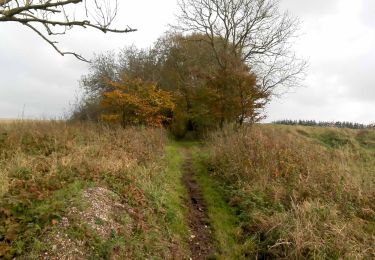 Trail On foot  - Pamhule - gul rute - Photo