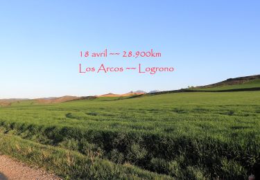Trail Walking Los Arcos - 18.04.18 Los Arcos-- Logrono - Photo