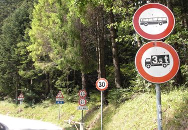 Tour Zu Fuß Caldonazzo - Sentiero della Pegolara - Photo