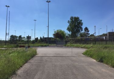 Tour Zu Fuß Binau - Rundwanderweg Binau 1: Dauchstein-Weg - Photo