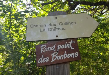 Tocht Stappen Manosque - 1Pelissier, jusque l'Aussalet et retour par le Château. - Photo