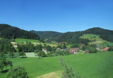 Percorso A piedi Gutach (Schwarzwaldbahn) - Gutach 5: Baumpfad - Photo