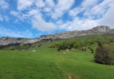 Tour Wandern Doucy-en-Bauges - 250524 Le Trelod et la Dents des Portes - Photo