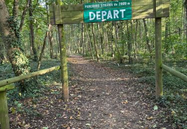 Randonnée sport Ostwald - Sans pluie  - Photo