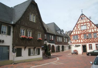 Tour Zu Fuß Eltville am Rhein - Weinwanderweg Hattenheim - Photo