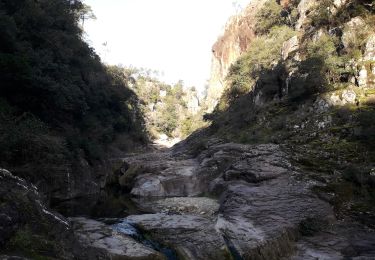 Tour Wandern Callas - 83 Gorges de Pennafort  - Photo