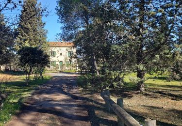 Percorso Marcia Roquebrune-sur-Argens - Palayson et la maison forestière - Photo