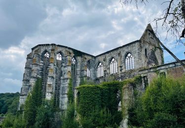 Tocht Stappen Thuin - L’abbaye d’Aulne à Thuin - Photo