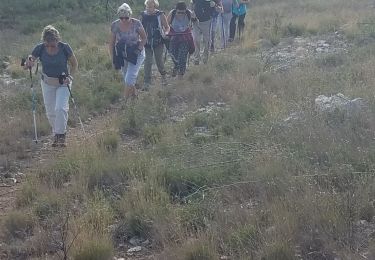 Tocht Stappen Éguilles - camaisse-Fauchon - Photo