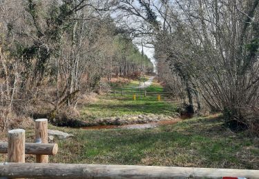 Randonnée Marche Martillac - martillac la forêt de Migelane - Photo