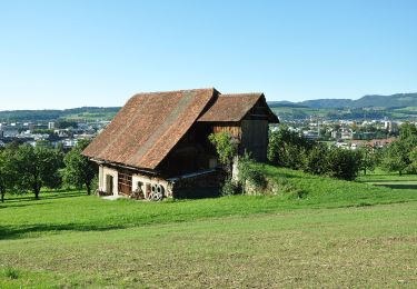 Excursión A pie Baar - Steren-Unter Brunegg - Photo