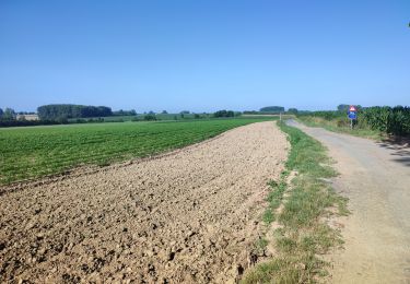 Randonnée Marche Lennik - Gaasbeek - Photo