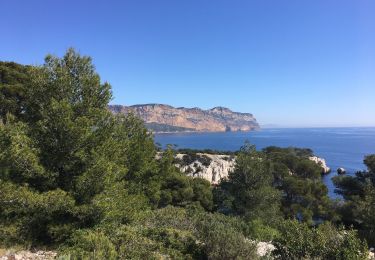 Tocht Stappen Cassis - Sormiou -Port pin -  En Vau  - Photo