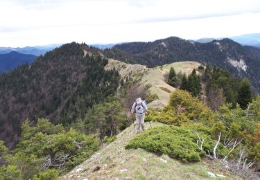 Trail Walking Châtillon-en-Diois - Serre Chomiĺle - Les Nonnières - Photo