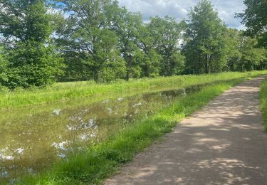 Randonnée sport Reugny - Canal du Berry  - Photo