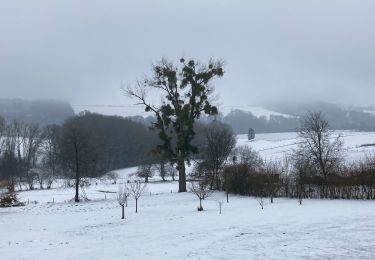 Randonnée Marche Yvoir - Durnal / 2021-01-17 / 29 km - Photo