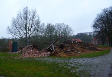 Tour Zu Fuß Rieseby - Petri-Route Rieseby - Photo