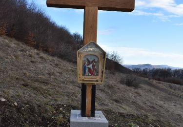 Tocht Te voet Sovata - Săcădat - Valea Isuica - Vf. Becheci - Photo