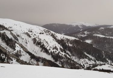 Randonnée Raquettes à neige Roubion - cretes du countet Boucle - Photo