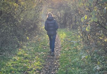 Trail Walking Limbourg - Dolhain carrière  - Photo