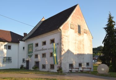 Percorso A piedi Sankt Marienkirchen an der Polsenz - Samareiner Jakobsweg - Photo