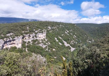 Trail Walking Flassan - Sentier des Cochons - Photo