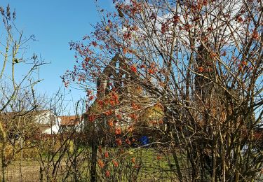 Tocht Stappen Calonges - Calonges - Photo