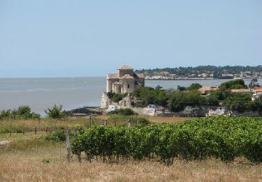Tocht Te voet Talmont-sur-Gironde - Talmont-Barzan 17   -8km6 - Photo