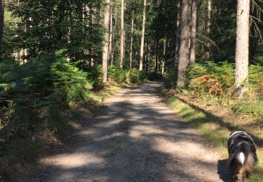 Trail Walking Aywaille - Harze 2020 - Photo