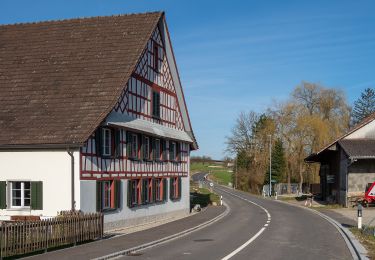 Tocht Te voet Weinfelden - Stelzenhof - Ellighausen - Photo