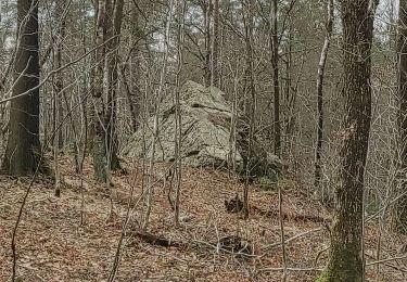 Trail Walking Durbuy - ballade autour des menhirs, dolmens et pierres de légendes de Weris - Photo