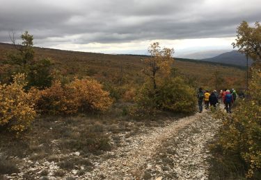 Trail Walking Cruis - Jas Neuf, Jas pierrefeu et Jas Roche - Photo