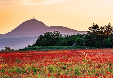 Excursión Senderismo Orcines - Samedi 27 avril - Photo