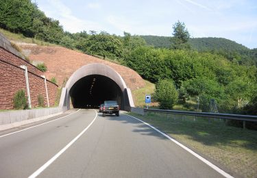 Tour Zu Fuß Annweiler am Trifels - Rinnthal Höhenweg - Photo