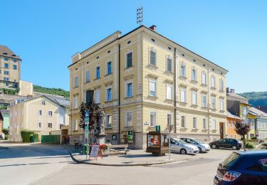 Tour Zu Fuß Steyregg - 3 Buchen Weg - Photo