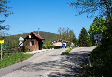 Trail On foot Gemeinde Purkersdorf - Wienerwaldsee - Heimbautal - Photo