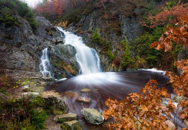 Randonnée Marche Waimes - Cascade du Bayehon 4KM - Photo