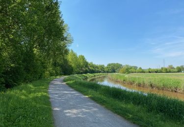 Trail Walking Scherpenheuvel-Zichem - S-GR Hageland : Testelt - Aarschot - Photo