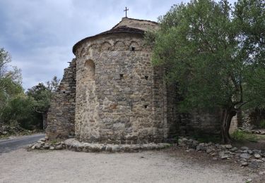 Excursión Senderismo Ille-sur-Têt - Ile sur Têt - Rodes - Photo