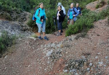 Trail Walking Beaurecueil - rando 23 septembre 2020⁸ - Photo